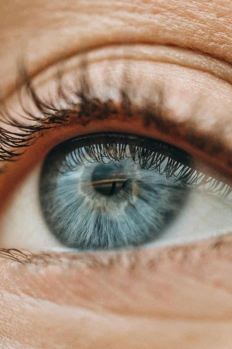 Vision Contacts