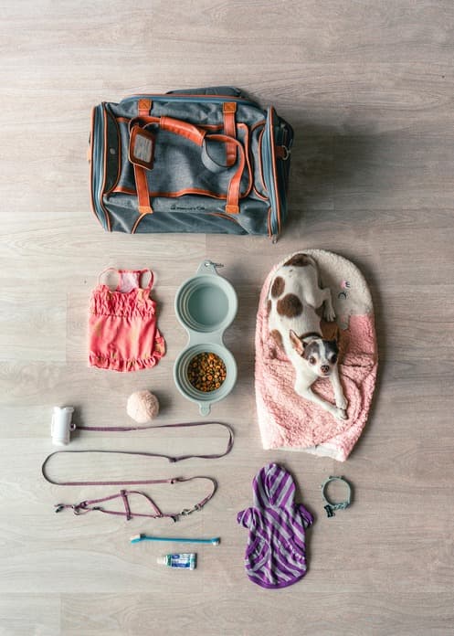 Pet Essentials