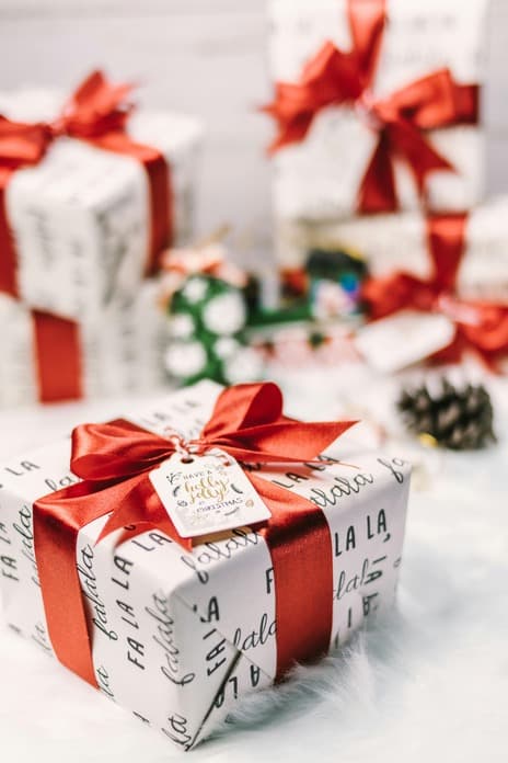 Holiday Gift Guide